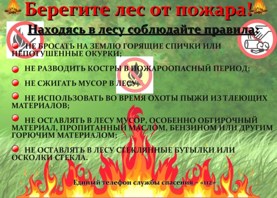 Памятка Берегите лет от пожара!.